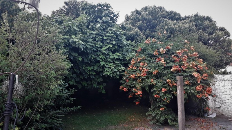 OPORTUNIDAD UNICA EN PARQUE LELOIR SOBRE COLECTORA, CASA 4 AMB. JARDIN, COCHERAS, S/LOTE 10X..., APTO PROFESIONAL/COMERCIAL