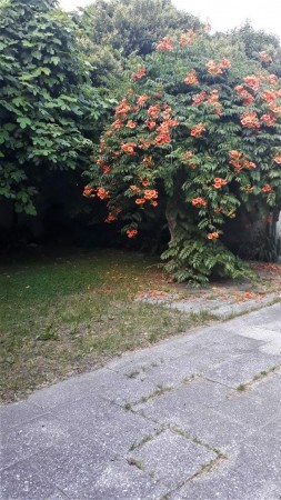 OPORTUNIDAD UNICA EN PARQUE LELOIR SOBRE COLECTORA, CASA 4 AMB. JARDIN, COCHERAS, S/LOTE 10X..., APTO PROFESIONAL/COMERCIAL