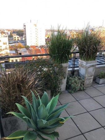 OPORTUNIDAD!!EXCELENTE PISO ATERRAZADO 4 AMBIENTES, SUM Y COCHERA EN PLENO CENTRO COMERCIAL DE HAEDO