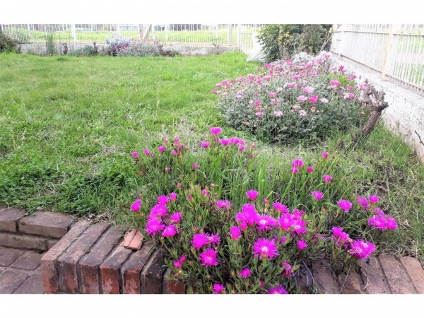 OPORTUNIDAD URG...CASA 5 AMB,PQUE,COCHERA A 2 CDS. POLO GASTRONOMICO PARQUE LELOIR