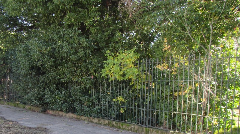 OPORTUNIDAD! LOTE DE 1500M2 EN EL CENTRO DE ITUZAINGO, APTO EMPRENDIMIENTO, ACEPTA MTS