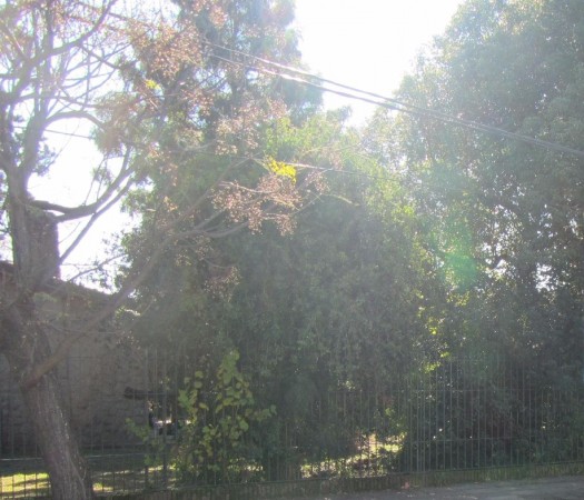 OPORTUNIDAD! LOTE DE 1500M2 EN EL CENTRO DE ITUZAINGO, APTO EMPRENDIMIENTO, ACEPTA MTS