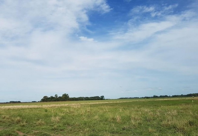 Oportunidad!! Exc Campo De 10ha en Lobos, Zona Haras, Agricola Ganadera, ideal emprendimiento!