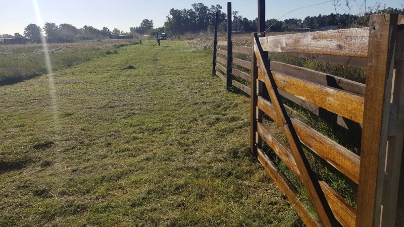 OPORTUNIDAD!!! EXCELENTE TERRENO DE 5.004,40 M2 EN GUERNICA