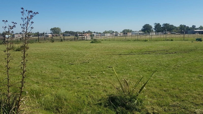 OPORTUNIDAD!!! EXCELENTE TERRENO DE 5.004,40 M2 EN GUERNICA