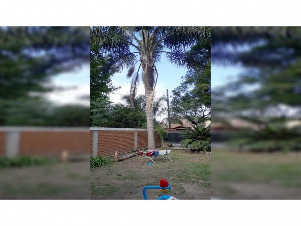 OPORTUNIDAD!! CASA 160M2 CON LOTE DE 12x42 A MEDIA CUADRA DE M. FIERRO - PARQUE LELOIR