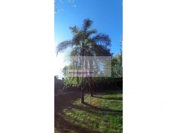 CASA A REMODELAR SOBRE 2 LOTES INDEPENDIENTES, 800 M2, 20 X 40 DE FONDO