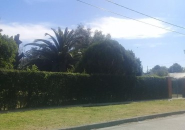 OPORTUNIDAD UNICA EN PADUA SUR!!! CASA DE 80M2 CON LOTE DE 62 M2 DE FONDO 