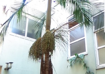 PH SOBRE LA AVENIDA J.B. ALBERDI A 5 MIN DEL CENTRO COMERCIAL DE CABALLITO Y A 2 CUADRAS DE RIVADAVIA OPORTUNIDAD HOY!