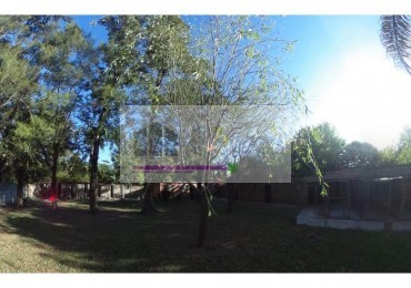 CASA A REMODELAR SOBRE 3 LOTES INDEPENDIENTES, SON 1.200 M2, CADA LOTE TIENE 400M2